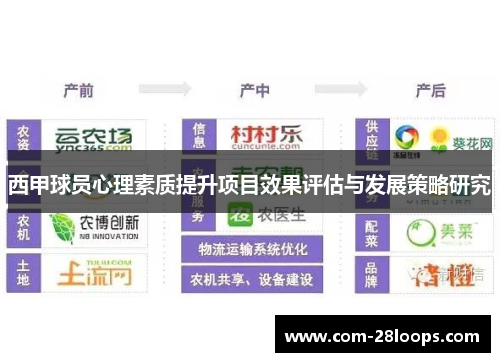 西甲球员心理素质提升项目效果评估与发展策略研究