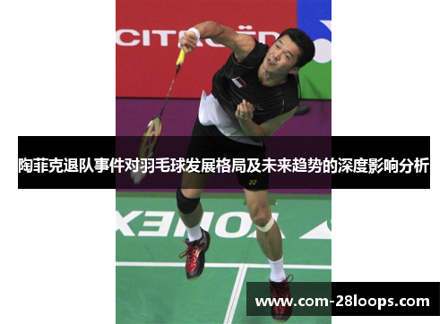 陶菲克退队事件对羽毛球发展格局及未来趋势的深度影响分析 陶菲克退队事件对羽毛球发展格局及未来趋势的深度影响分析