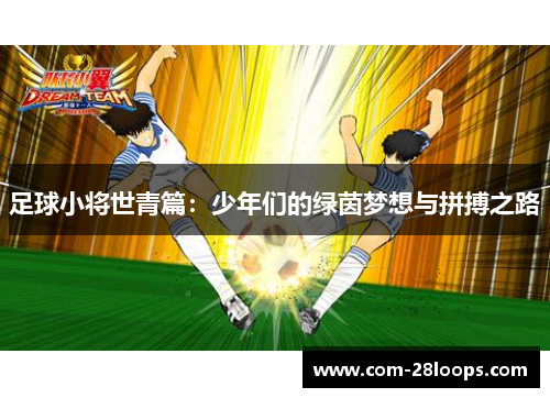 足球小将世青篇：少年们的绿茵梦想与拼搏之路