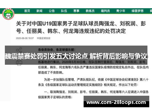 魏震禁赛处罚引发五大讨论点 解析背后影响与争议